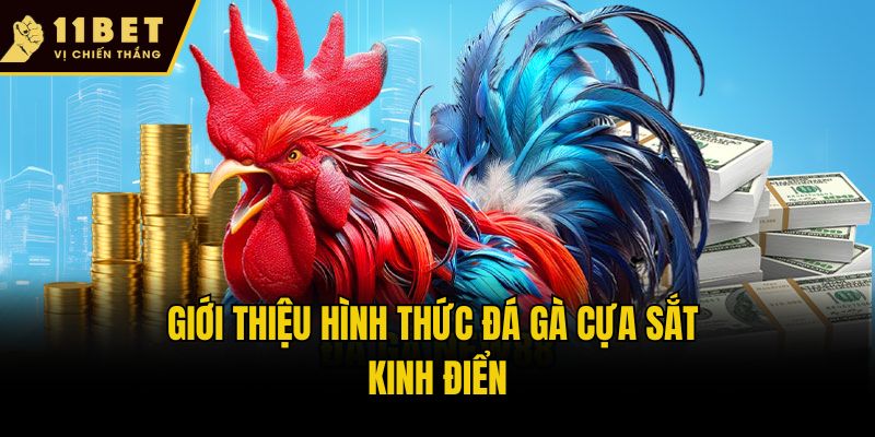 Đá Gà Cựa Sắt - Cuộc Chiến Nảy Lửa Giữa Các Chiến Kê 1 Giới thiệu hình thức đá gà cựa sắt kinh điển
