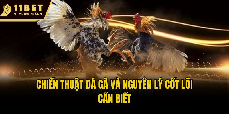 Chiến Thuật Đá Gà - Bí Quyết Đặt Cược Dễ Thắng Tại 11bet 1 Chiến thuật đá gà và nguyên lý cốt lõi cần biết